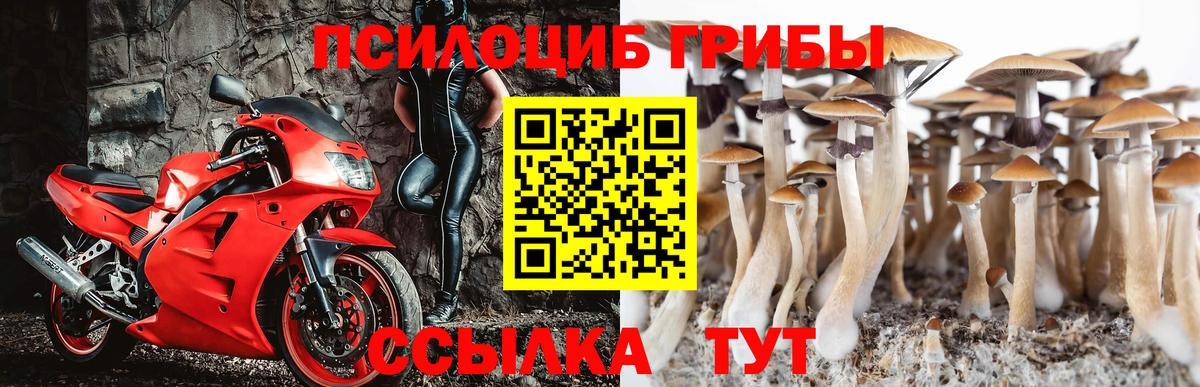 Галлюциногенные грибы GOLDEN TEACHER Радужный